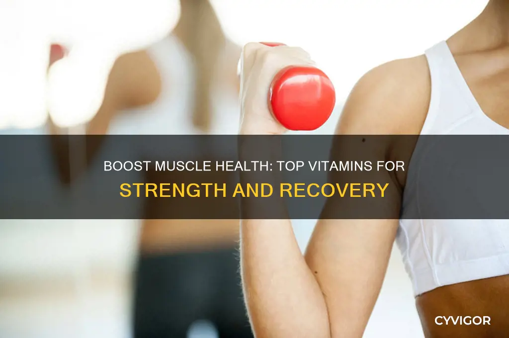 what is a good vitamin for muscles