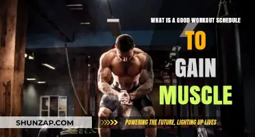 Effective Workout Schedule for Muscle Gain: Tips and Strategies