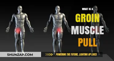 Understanding Groin Muscle Pulls: Causes, Symptoms, and Recovery Tips