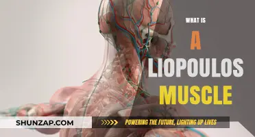 The Liopoulos Muscle: A Unique, Powerful Muscle