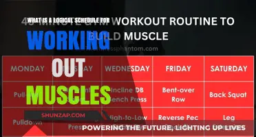 Effective Muscle Workout Schedule: A Logical Approach to Fitness