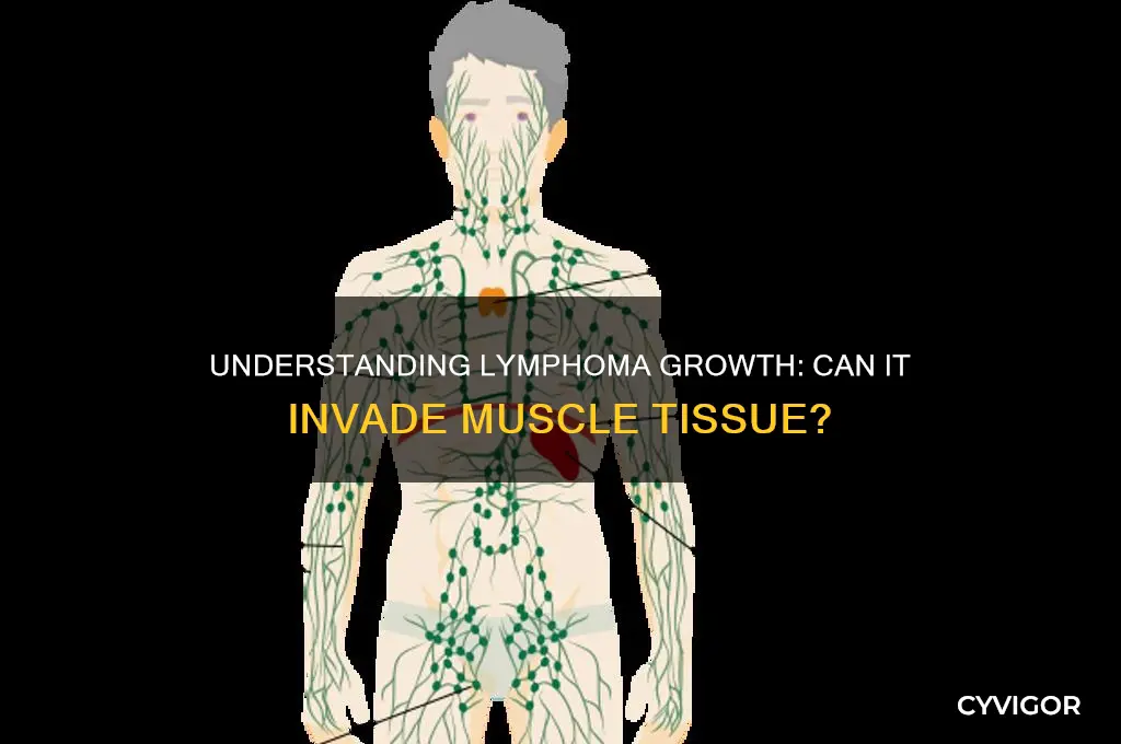 what is a lympoma grow into muscle