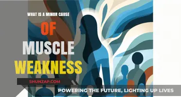 Uncovering Lesser-Known Factors Behind Muscle Weakness: A Comprehensive Guide
