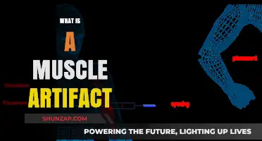 Understanding Muscle Artifacts: What Are They?