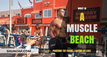 The Origin of Muscle Beach Culture