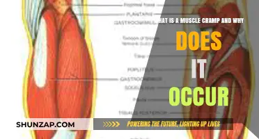 Understanding Muscle Cramps: Causes and Prevention Tips
