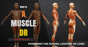 Muscle Doctors: The Ultimate Guide to Muscular Health