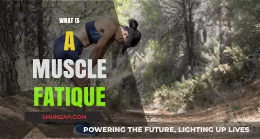 Understanding Muscle Fatigue: Causes and Impacts