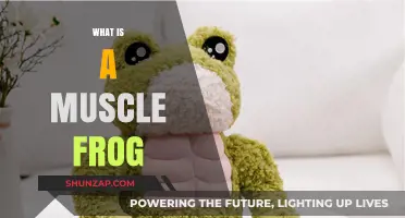 The Muscle Frog Mystery: What and Why?