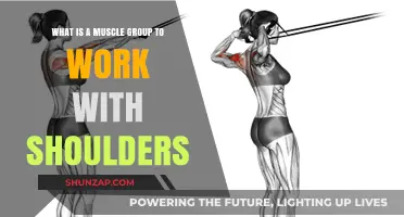 Effective Muscle Groups to Pair with Shoulder Workouts for Balanced Strength