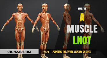 Understanding Muscle Knots: Causes and Relief