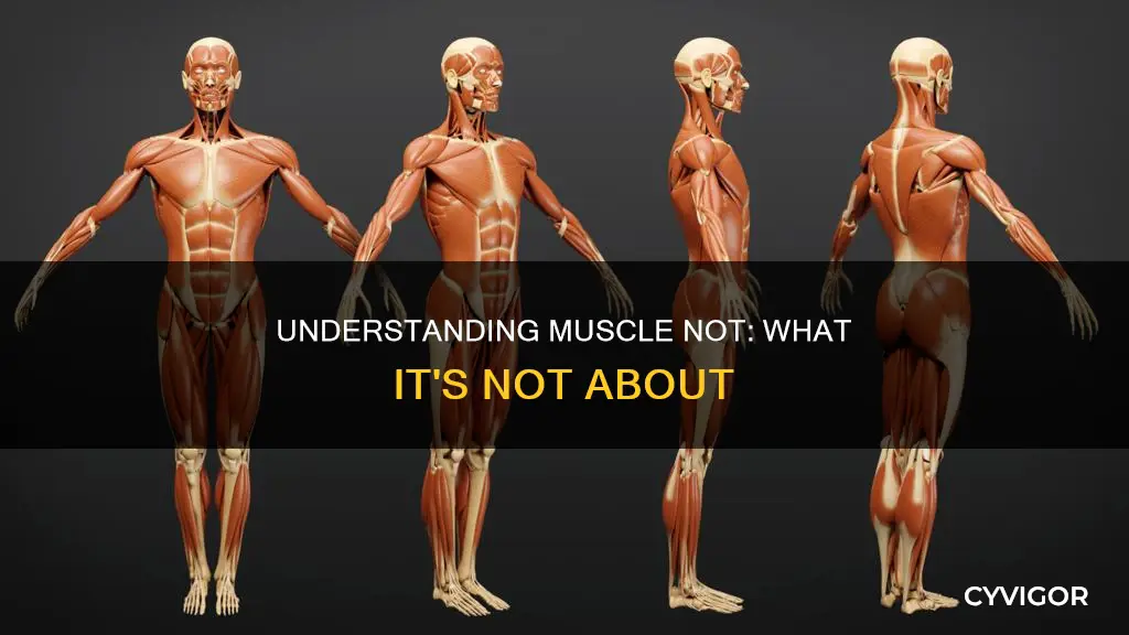 what is a muscle not
