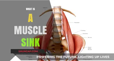 Understanding Muscle Soreness and Recovery Techniques