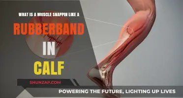 Sudden Calf Muscle Snap: Causes, Symptoms, and Recovery Tips