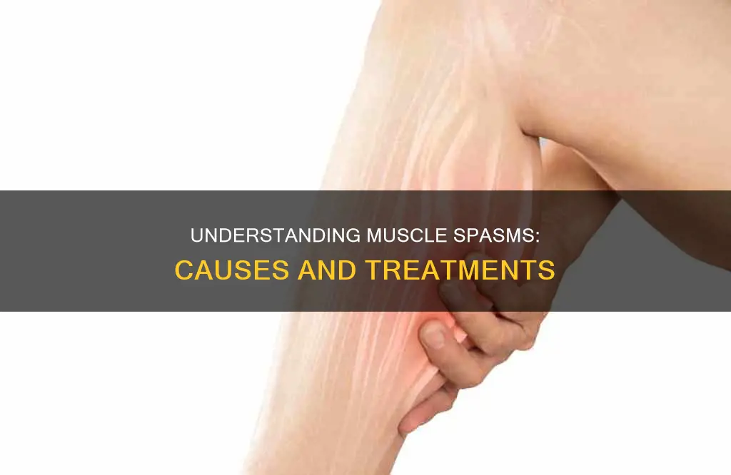 what is a muscle soasm