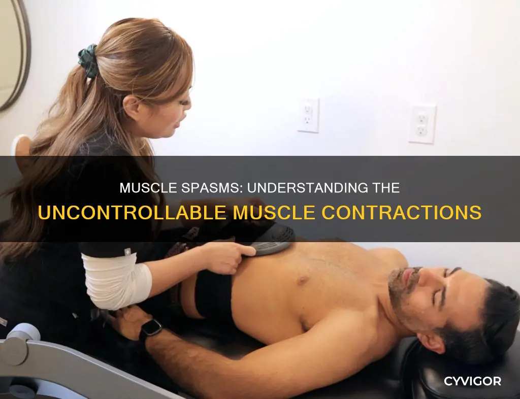 what is a muscle spa