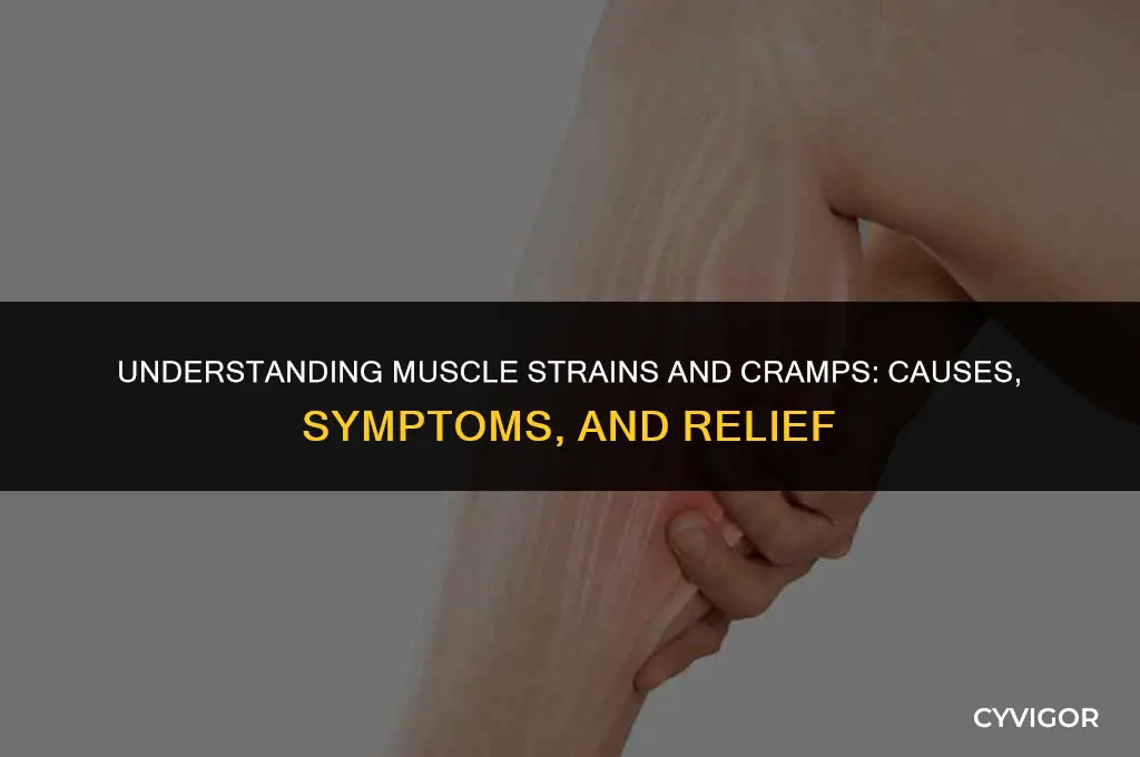 what is a muscle strain and cramp