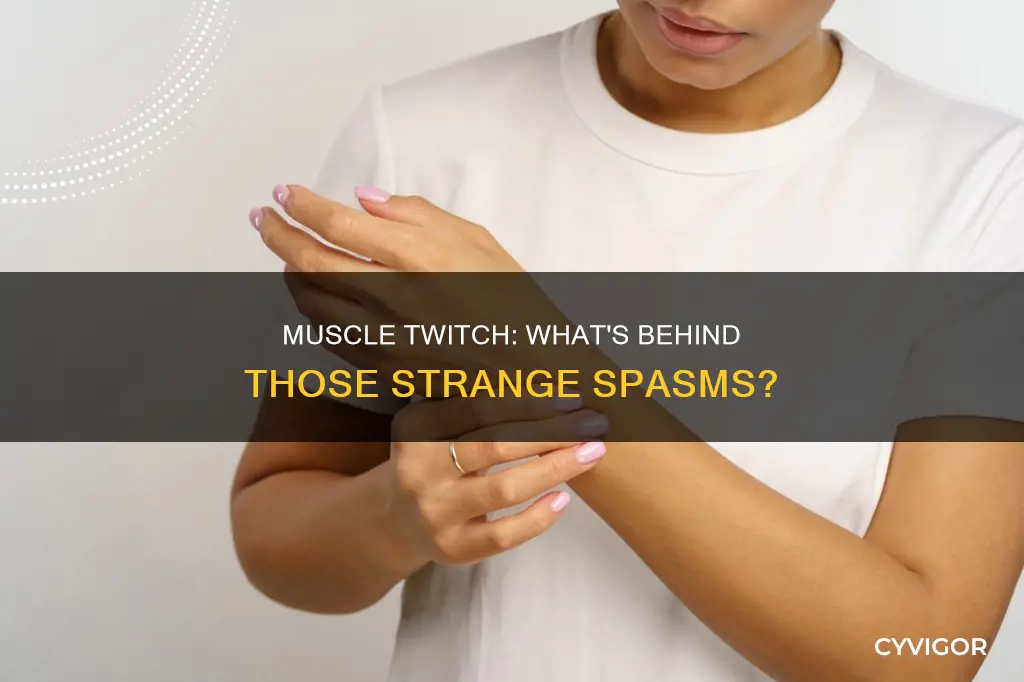 what is a muscle twich