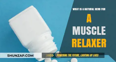 Discover Natural Herbs for Muscle Relaxation: Effective Remedies Revealed