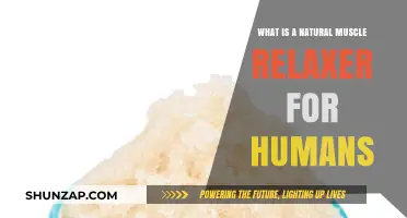 Effective Natural Muscle Relaxers: Soothing Remedies for Human Relief