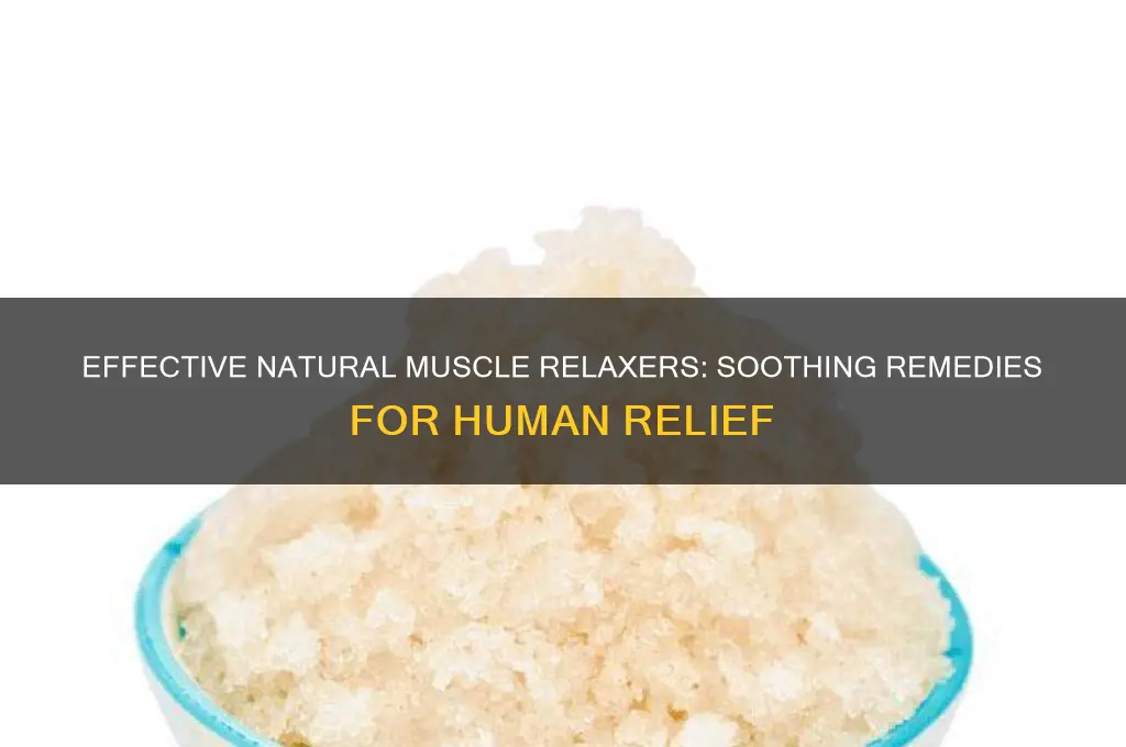 what is a natural muscle relaxer for humans