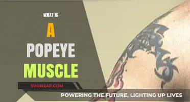 Popeye Muscles: How to Get Them and What They Are
