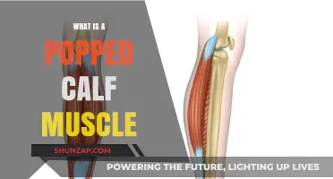 Understanding Popped Calf Muscles: Causes, Symptoms, and Recovery Tips
