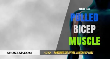 Understanding Pulled Bicep Muscle: Causes, Symptoms, and Recovery Tips