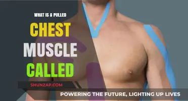 Understanding a Pulled Chest Muscle: Causes, Symptoms, and Treatment Options