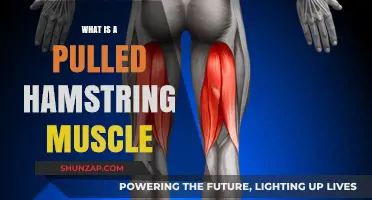 Understanding Pulled Hamstring Injuries: Causes, Symptoms, and Recovery Tips