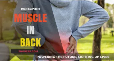 Understanding Pulled Back Muscles: Causes, Symptoms, and Recovery Tips