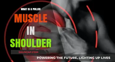 Understanding Pulled Shoulder Muscles: Causes, Symptoms, and Recovery Tips