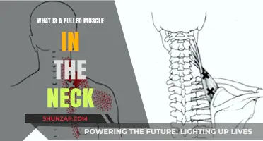 Understanding Pulled Neck Muscles: Causes, Symptoms, and Relief Tips