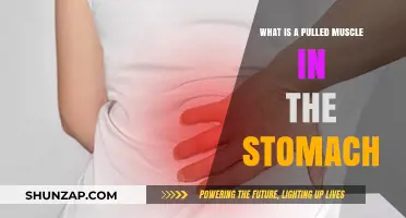 Understanding Pulled Stomach Muscles: Causes, Symptoms, and Recovery Tips