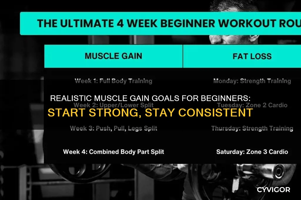 what is a realistic goal for gaining muscle beginners