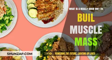 Fuel Your Gains: The Ultimate Muscle-Building Diet Guide