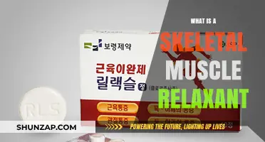 Understanding Skeletal Muscle Relaxants: Uses, Benefits, and Side Effects