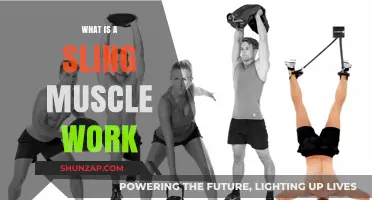 Understanding Sling Muscles: Function, Benefits, and Effective Workout Techniques
