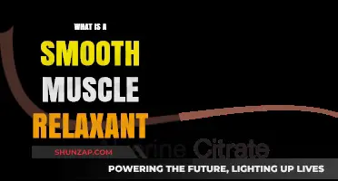 Understanding Smooth Muscle Relaxants: Uses, Benefits, and How They Work