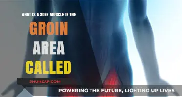 Understanding Groin Pain: Identifying and Treating Sore Muscles in the Area
