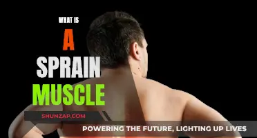 Understanding Muscle Sprains: Causes, Treatment, and Prevention