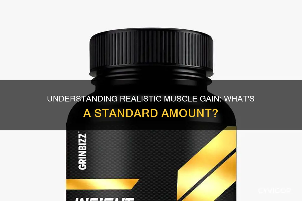 what is a standard amount of muscle gain