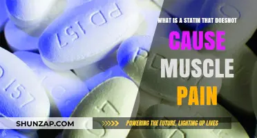 Statins Without Muscle Pain: Discovering Side-Effect-Free Cholesterol Solutions