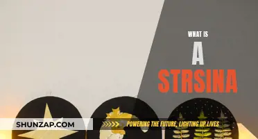 Strsina: Unraveling the Mystery of This Unique Concept