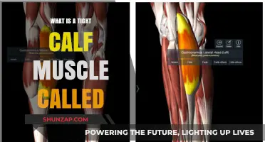 Understanding the Condition Known as Tight Calf Muscles