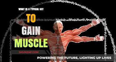 Effective Rep Ranges for Muscle Growth: Your Ultimate Guide