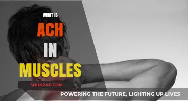 Understanding Aches in Muscles: Causes and Remedies