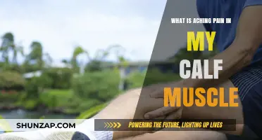 Understanding Aching Calf Muscle Pain: Causes, Remedies, and Prevention Tips