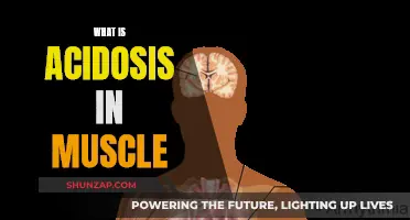 Muscle Acidosis: Understanding the Science Behind It