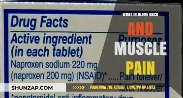 Understanding Aleve for Back and Muscle Pain Relief: A Comprehensive Guide